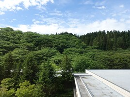 Vista desde la habitación