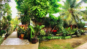 Un sendero conduce a una casa rodeada de abundante vegetación y plantas en macetas.