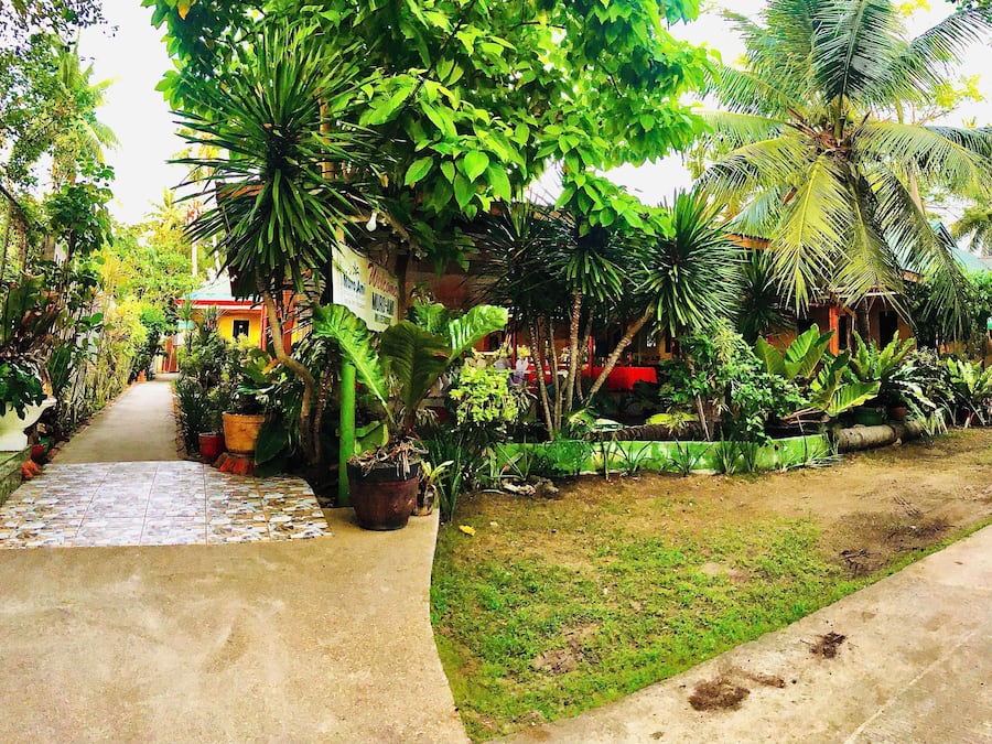 A pathway leading to a house surrounded by lush greenery and potted plants.