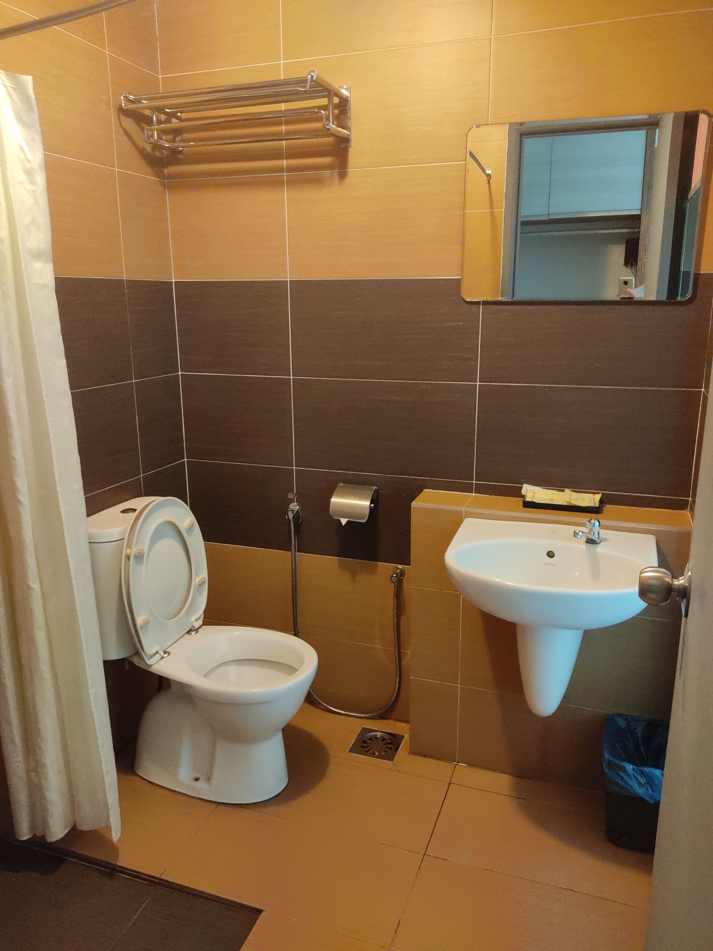 A bathroom with a toilet, sink, and towel rack.