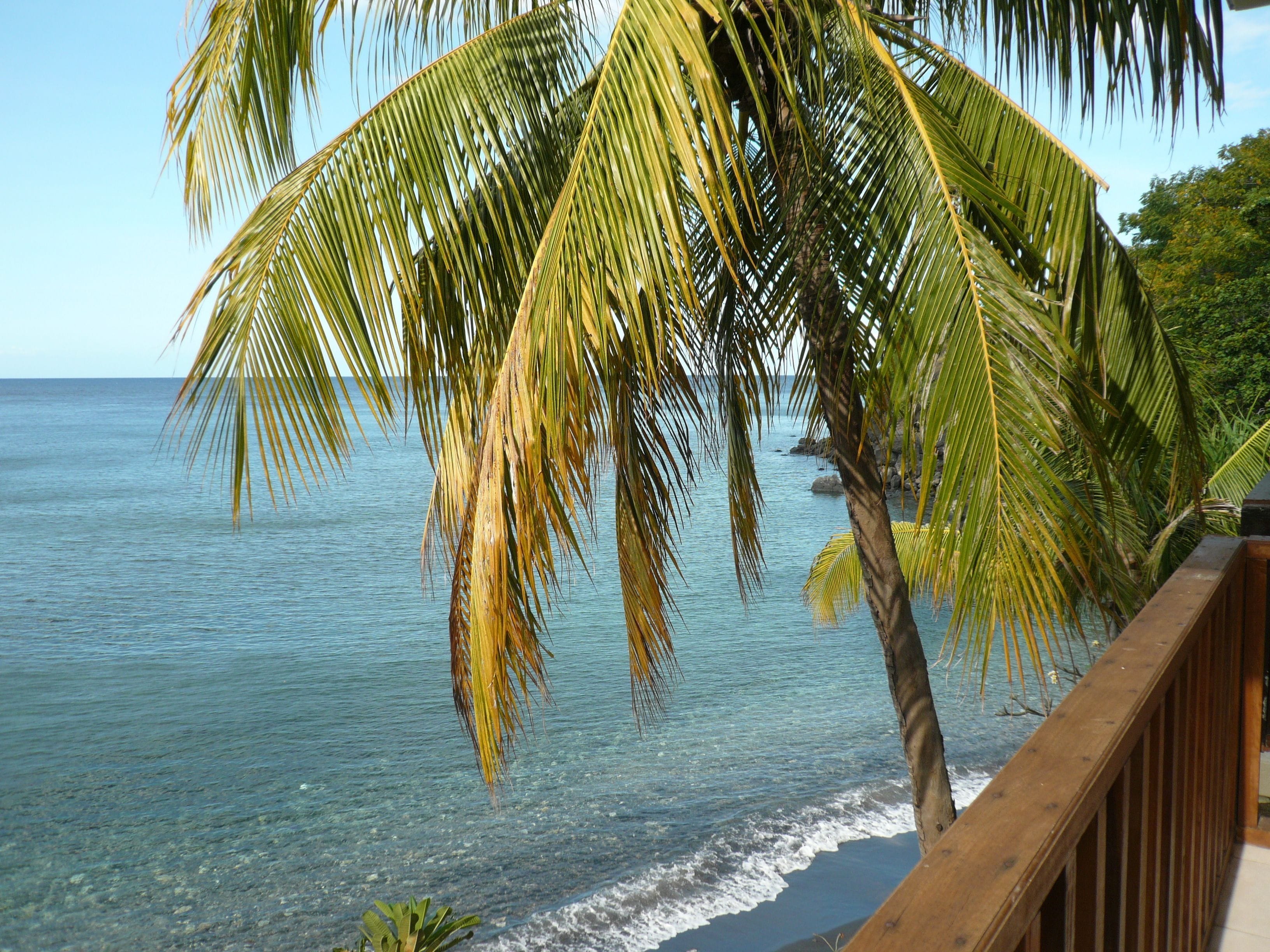 スーペリア ダブルまたはツインルーム オーシャンビュー | ビーチ / オーシャン ビュー