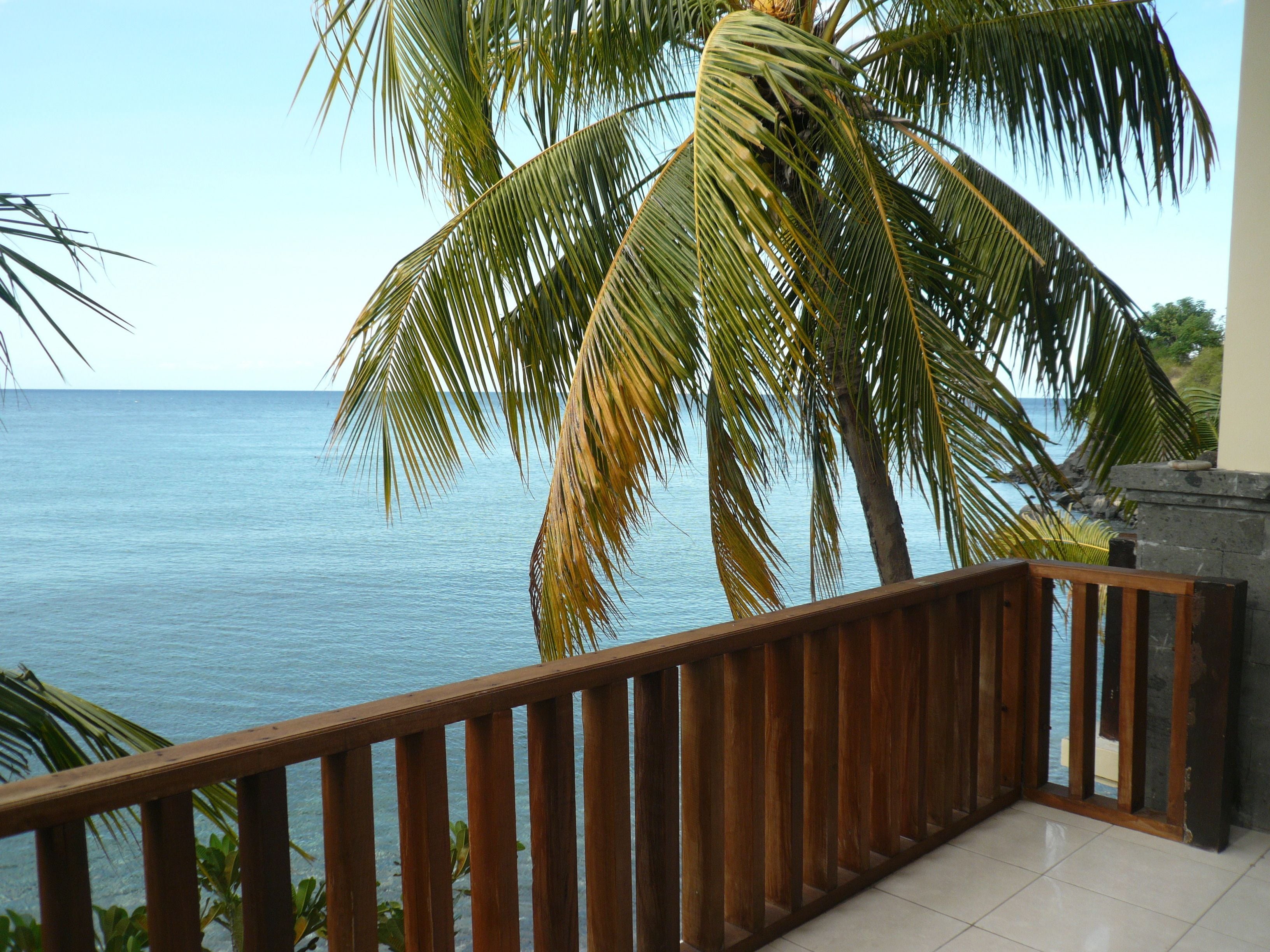 Un balcón con vista al mar y palmeras.