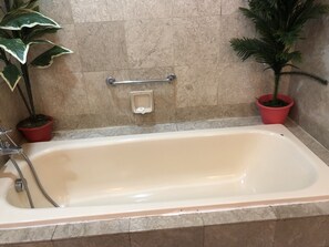 A bathtub with a handrail, a soap dish, and two potted plants. - Rainbow Suites at Times Square (Kuala Lumpur)