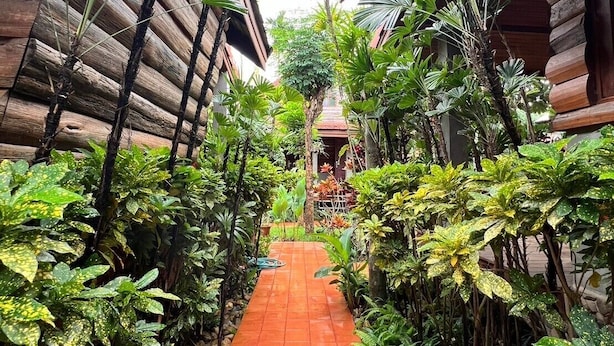 A narrow pathway flanked by lush tropical plants and wooden structures, leading to a central area with a tiled floor and a small building. - Yotaka Pai (Pai)