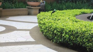 Un espace paysager aménagé en jardin, avec une haie incurvée, un abreuvoir pour oiseaux et une plante en pot.