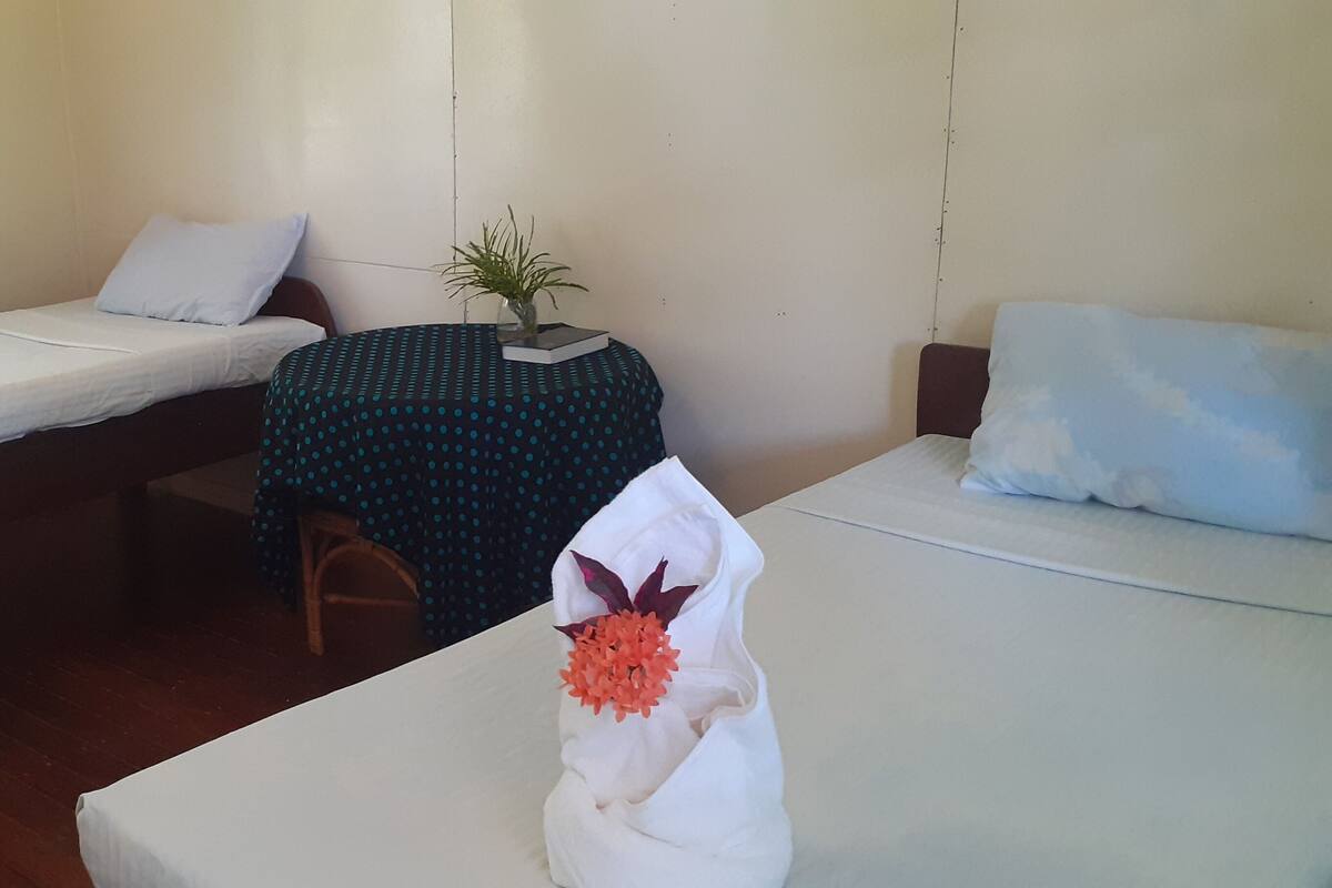 A room with two single beds, a small table with a plant, and a chair.