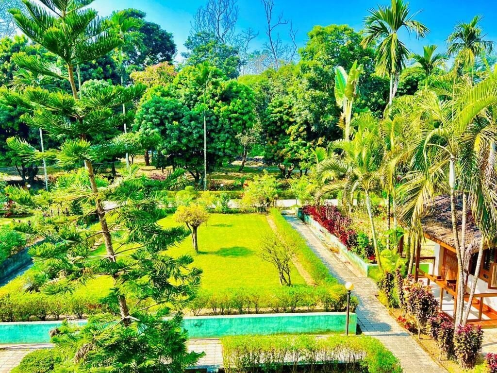 Um jardim exuberante com diversas árvores e um céu azul límpido.