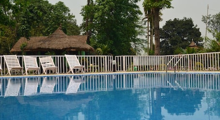 Outdoor pool, sun loungers