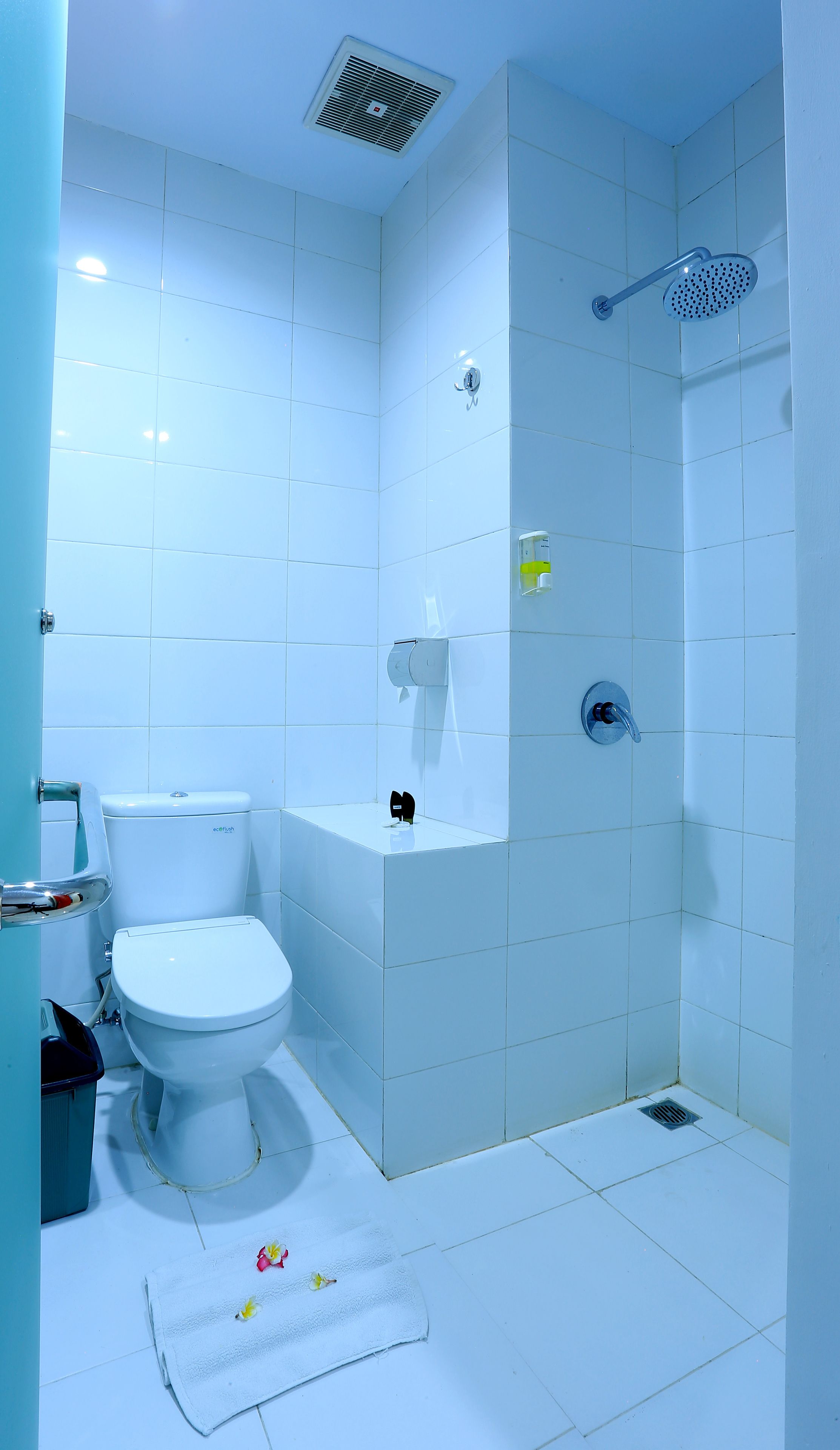 Shower, free toiletries, hair dryer, slippers