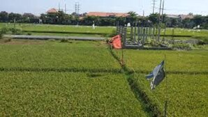 Un campo verde con un asta y una bandera.