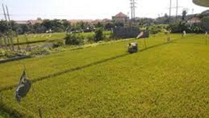 Un campo extenso y abierto con algunas construcciones dispersas y un edificio lejano.