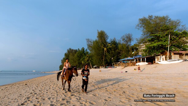 A sandy beach with a horse and rider, palm trees, and a building with a sign. - D'Nice Heritage House (George Town)