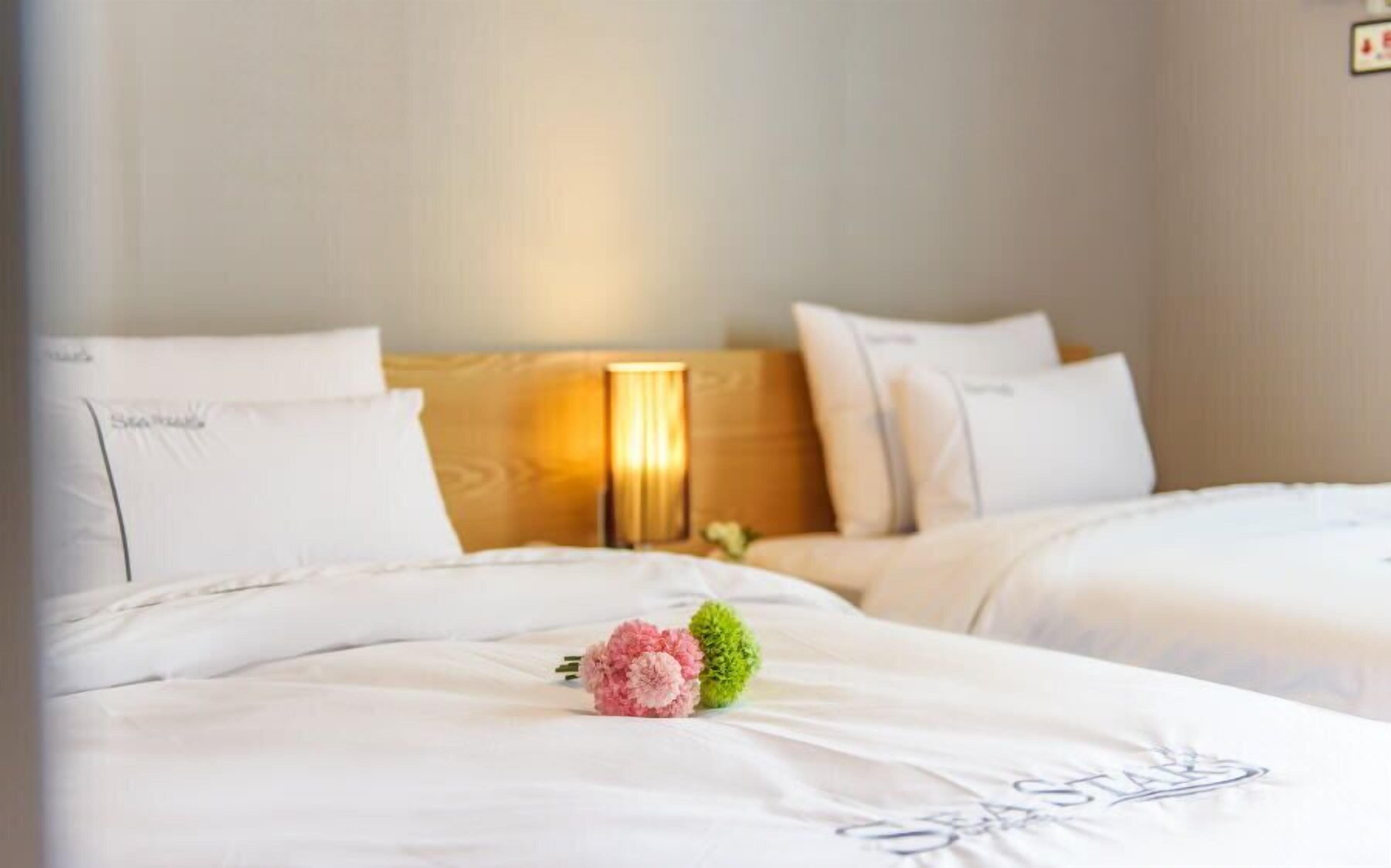 standard twin room | soundproofing, free wifi