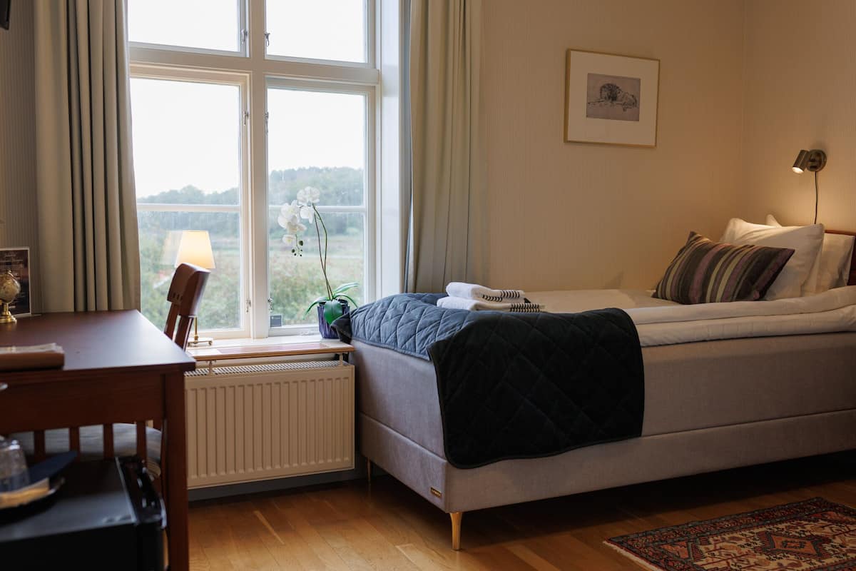 A bedroom with a bed, a desk, a radiator, a window with curtains, a plant, and a framed picture on the wall.