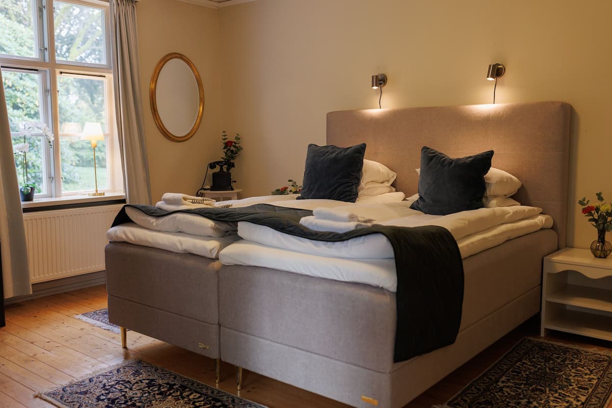 standard double room | 1 bedroom, free wifi, bed sheets