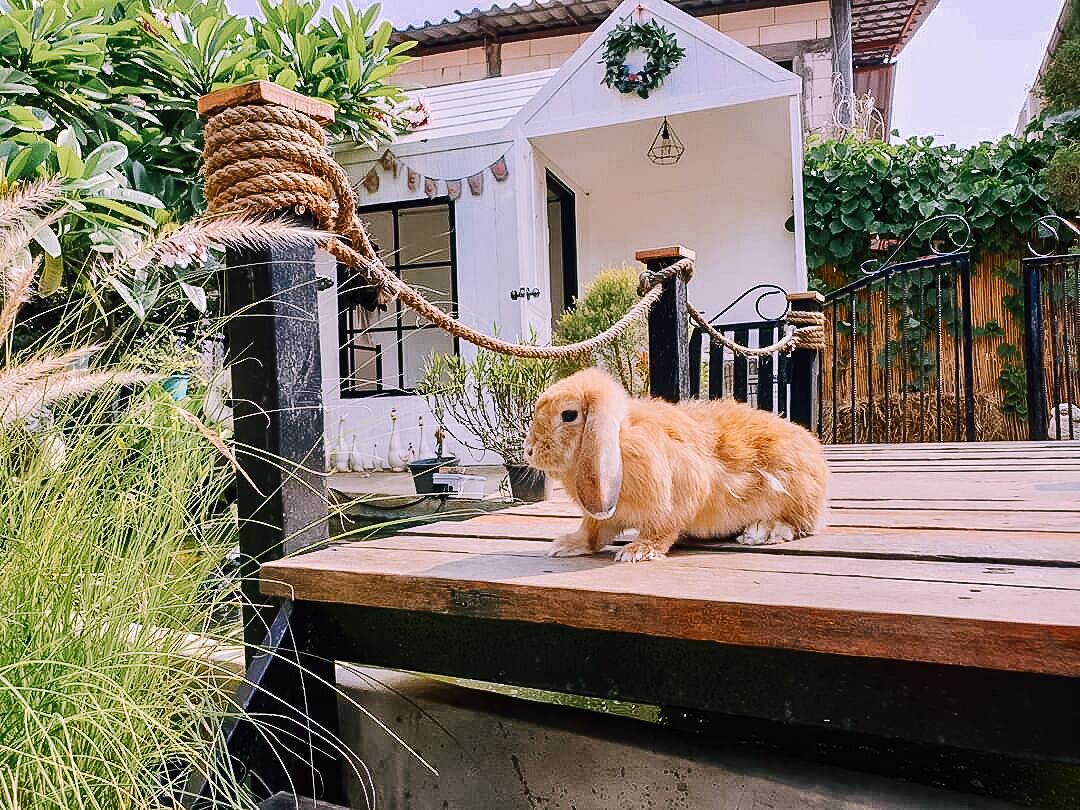 子供向けアクティビティ