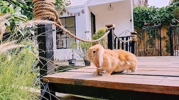 Children's activities