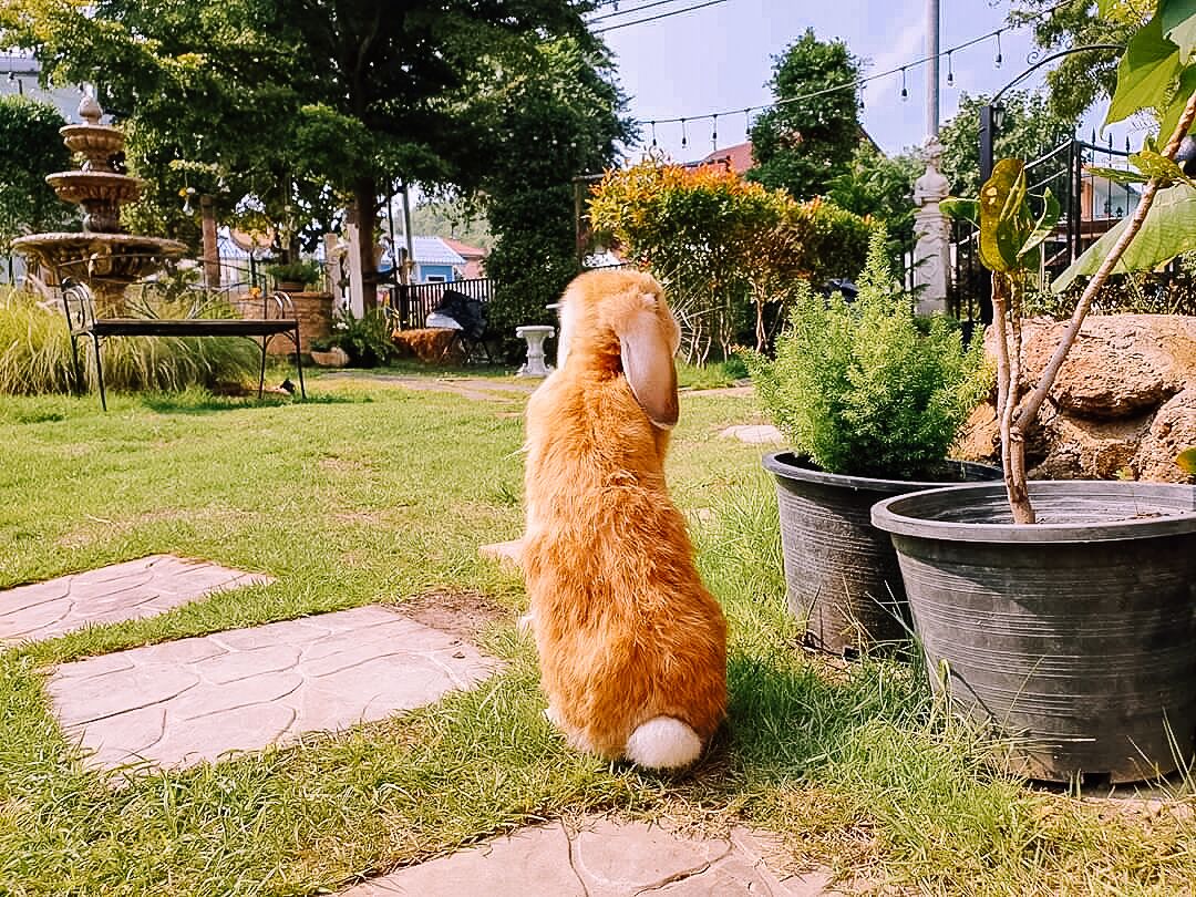 어린이 즐길거리