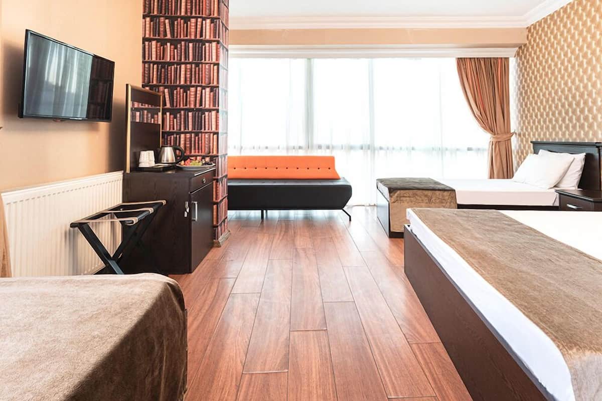 Een hotelkamer met een groot raam, een boekenkast, een flatscreen-tv, een bank en een bed.