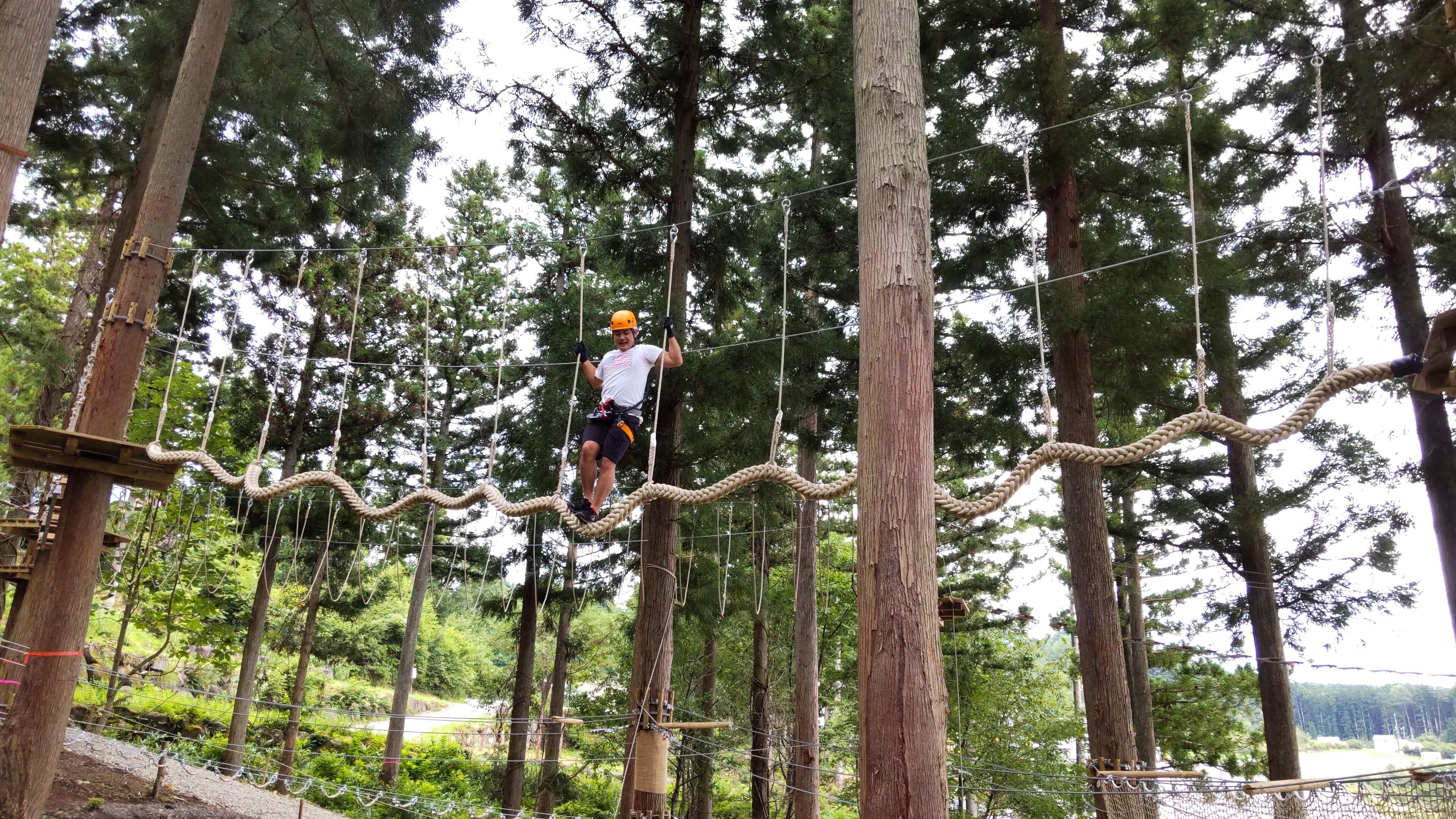A person navigating a rope course in a forested area.