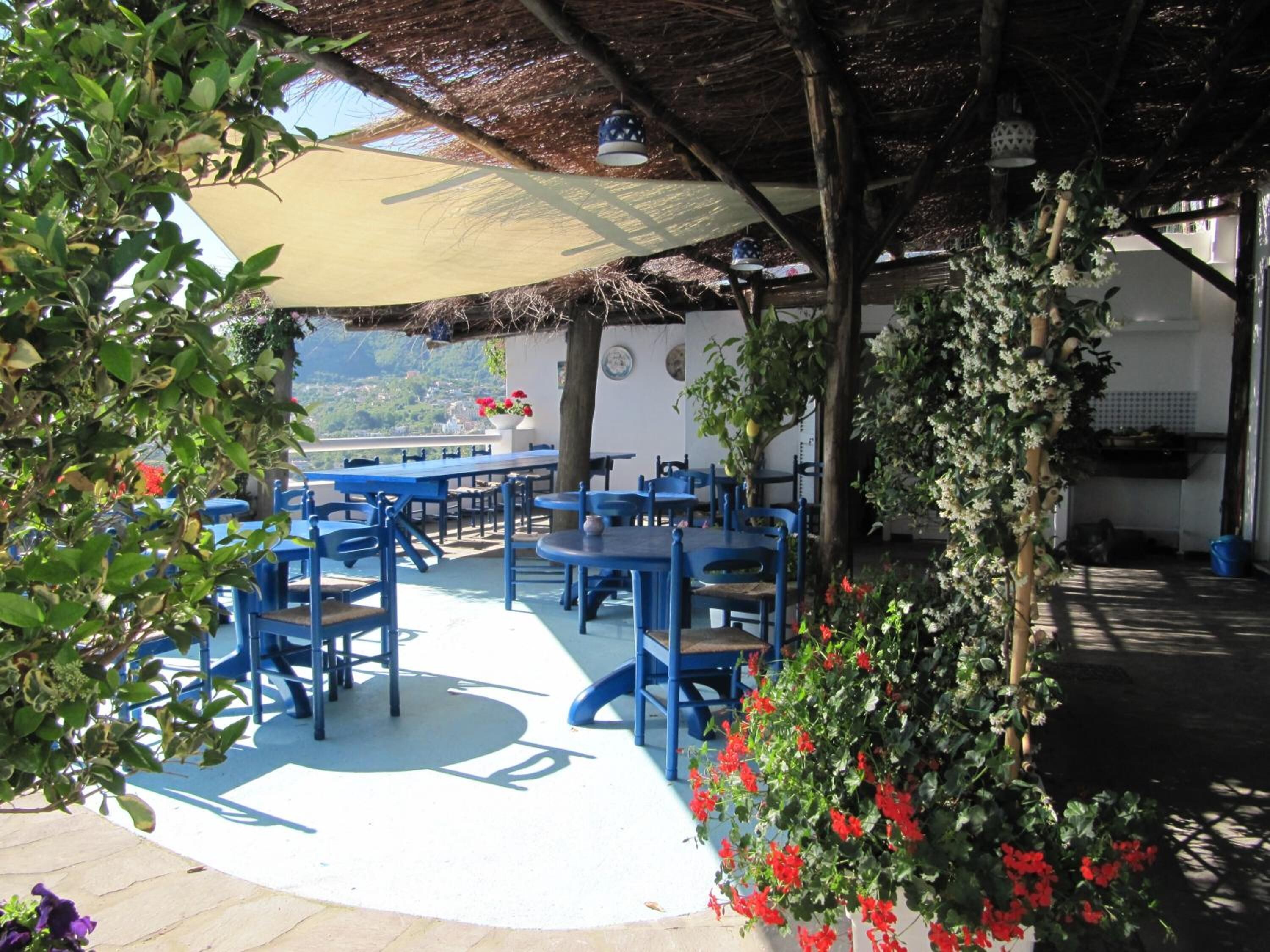 An outdoor seating area with blue tables and chairs, surrounded by greenery and a view of the landscape.