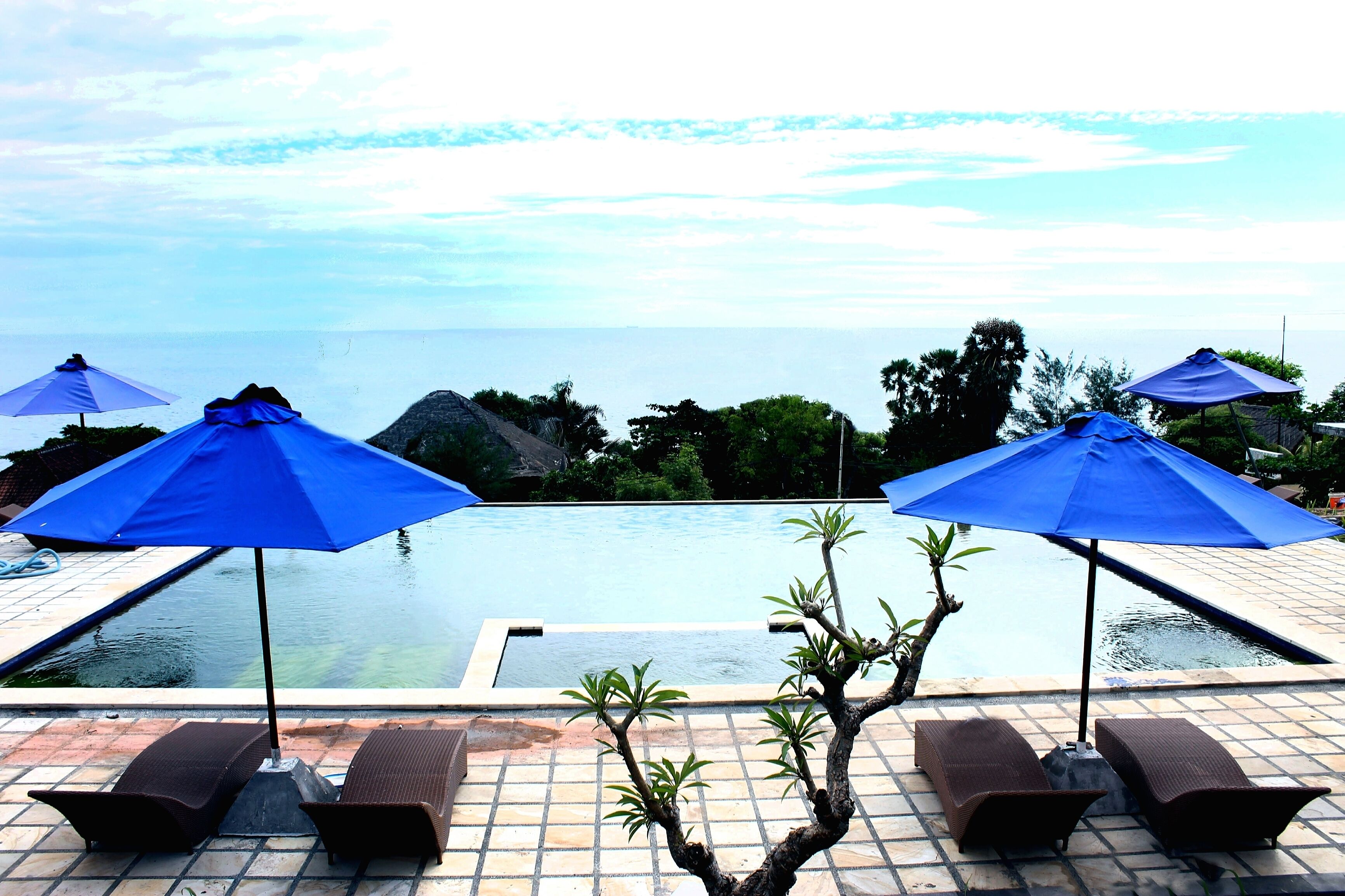outdoor pool, an infinity pool, pool loungers