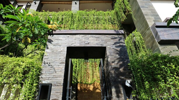 Un arco de piedra con una puerta de madera, rodeado de abundante vegetación y enredaderas.