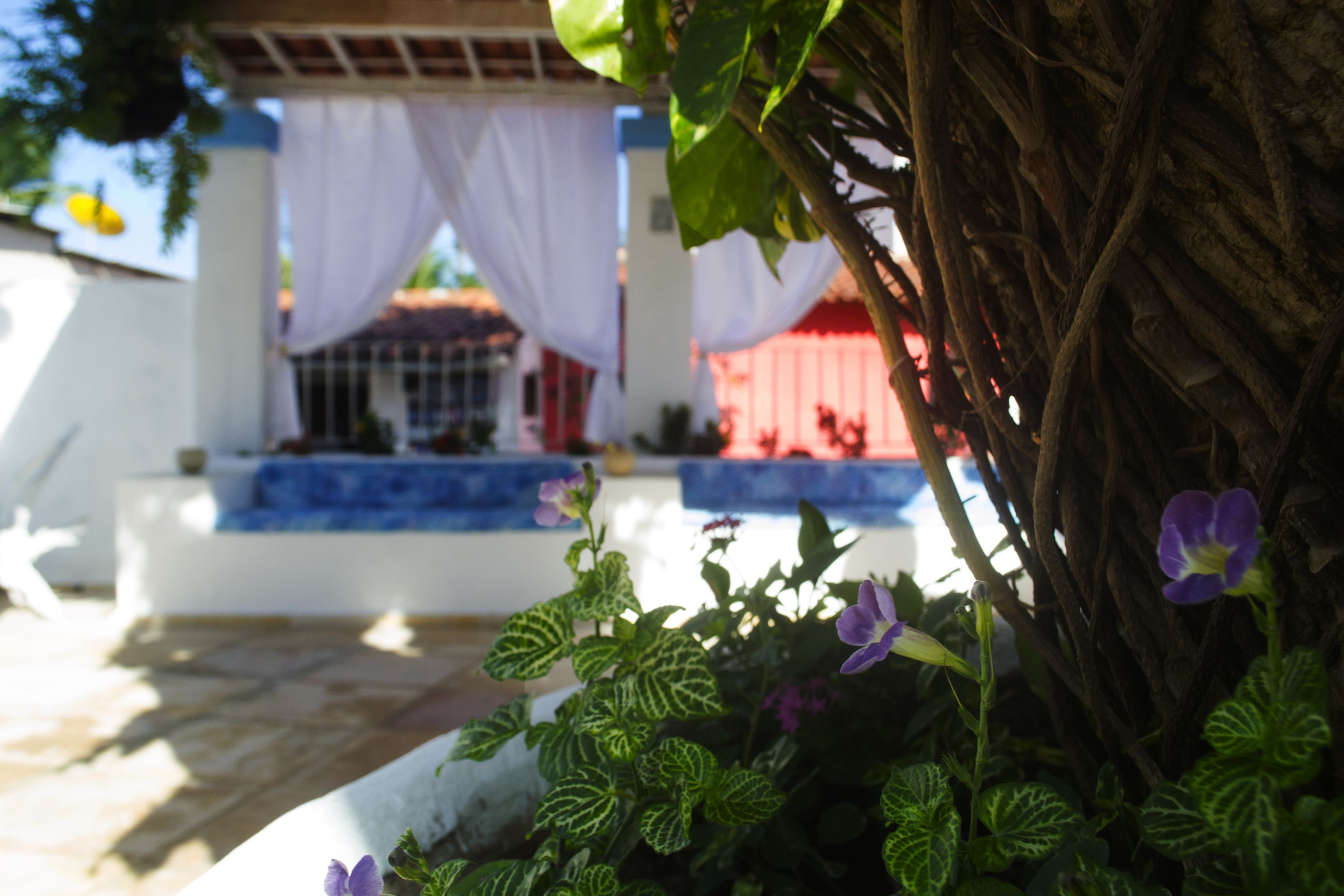 Vista da propriedade