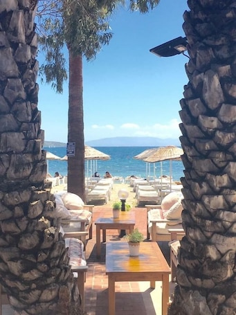 Breakfast, lunch and dinner served . Toloman Hotel Bitez Beach