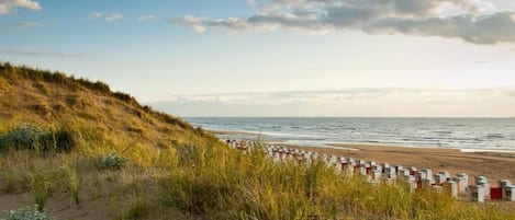 Beach nearby, 15 beach bars