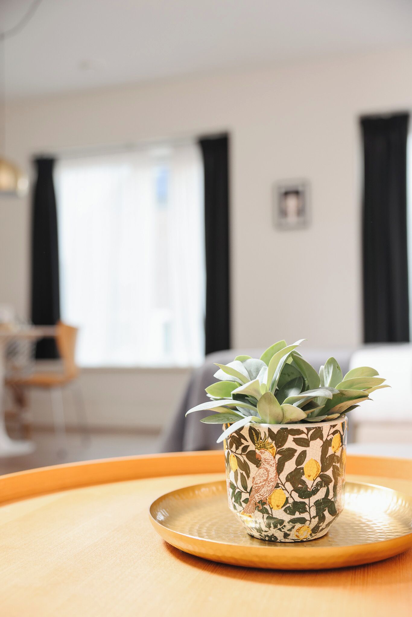 A potted plant on a tray in a room with a chair and a window with curtains.
