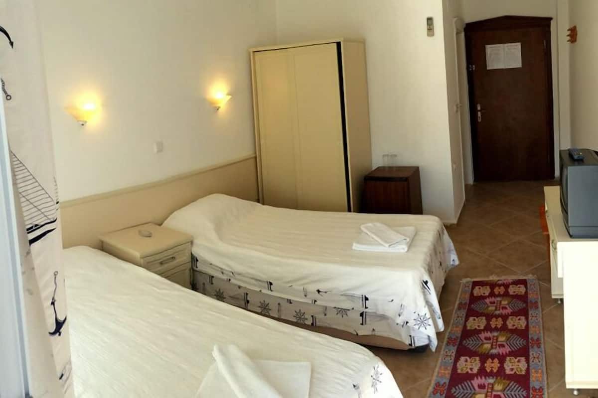 A hotel room with two beds, a wardrobe, a desk with a television, and a patterned rug.