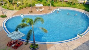 Una piscina grande y ovalada con una palmera y sillas de descanso alrededor.