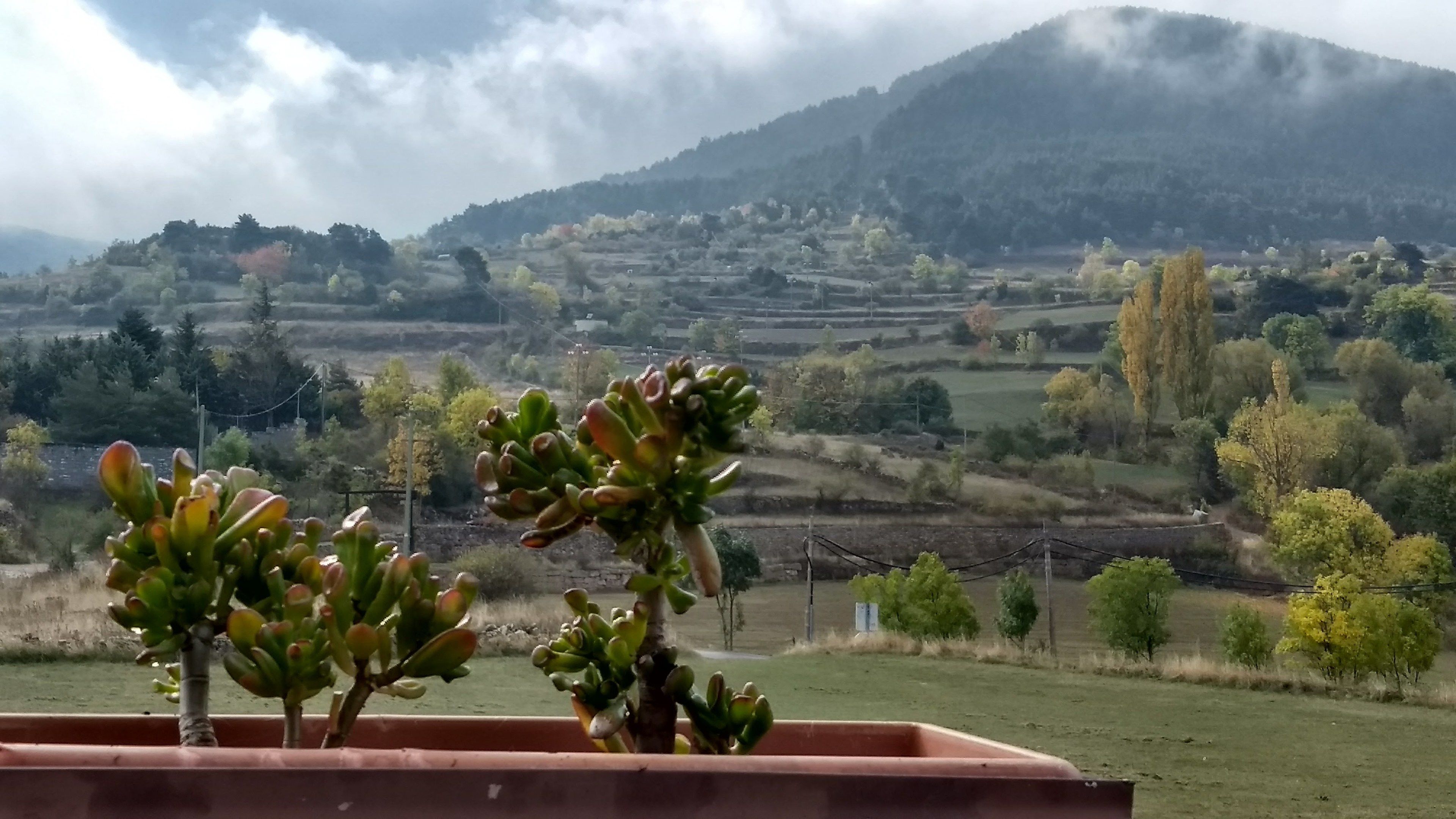 comfort suite, 1 king bed, mountain view | mountain view