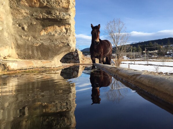 Horse riding
