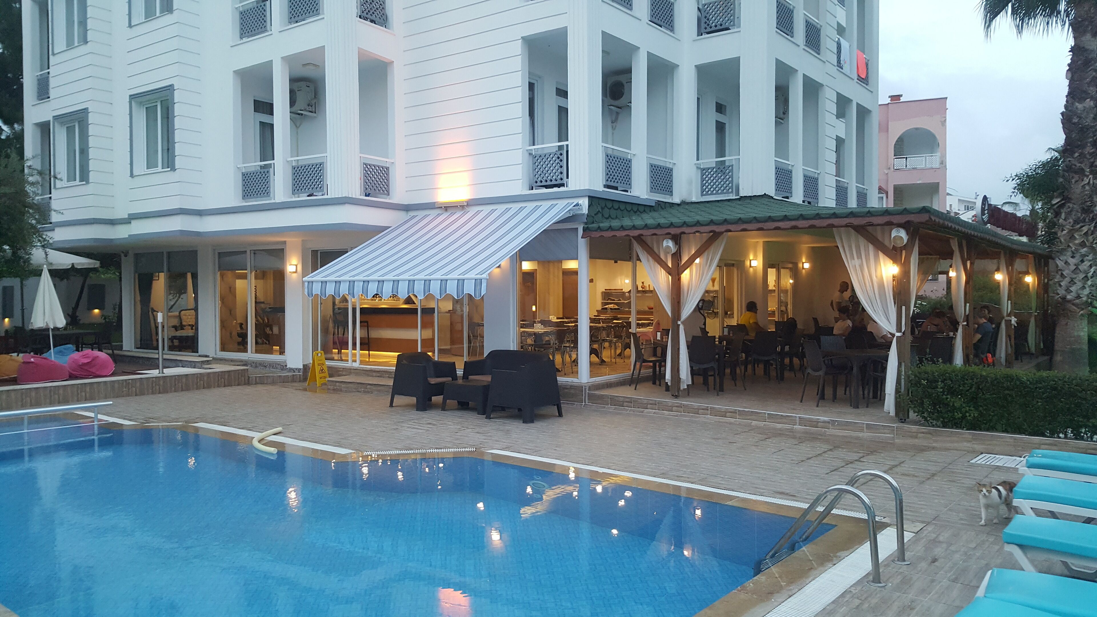 Outdoor pool, pool umbrellas, pool loungers