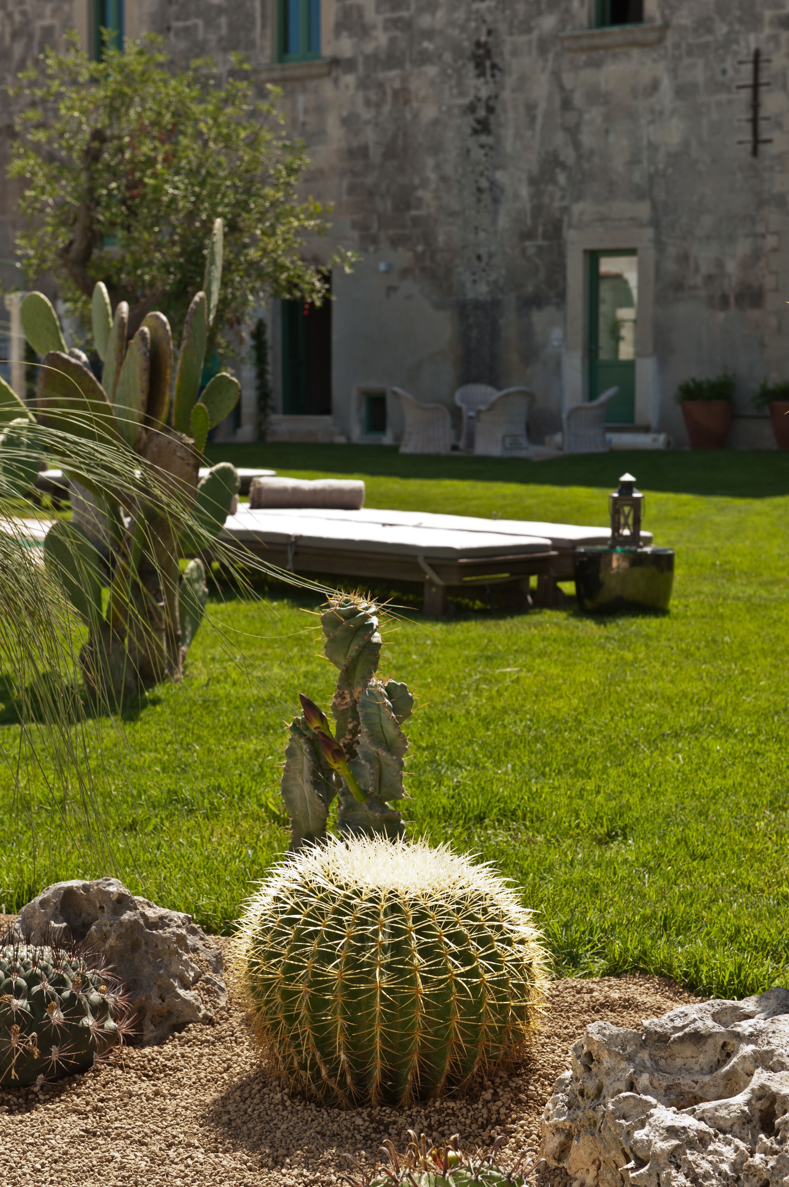 Un jardin de cactus avec un bâtiment en pierre en arrière-plan.