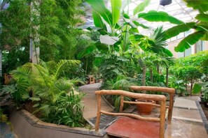 An indoor garden with a wooden bench, a pathway, and various tropical plants. - Dunhuang Hotel (Jiuquan)