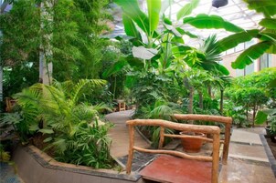 Un jardín interior con un banco de madera, un sendero y diversas plantas tropicales.