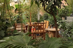 Un espacio al aire libre con mobiliario de madera y plantas en macetas.