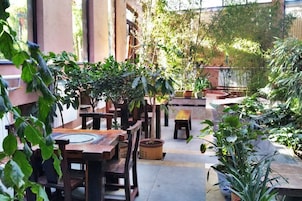 Un área de patio al aire libre con mesas y sillas de madera, rodeada de macetas con plantas y un muro de piedra.