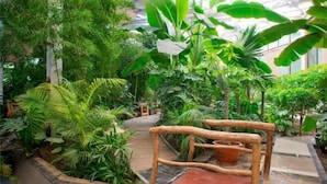 Un jardín interior con un banco de madera y un sendero.