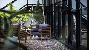 A modern interior with a wooden chair and a cushioned bench near a glass wall, surrounded by potted plants. - Maison Decoret (Vichy)