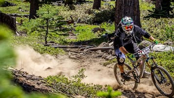 A mountain biker on a dirt trail surrounded by greenery.