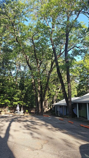 A parking area with trees, a small building, and a covered seating area. - Cedar Lodge Motel (Dunsmuir)
