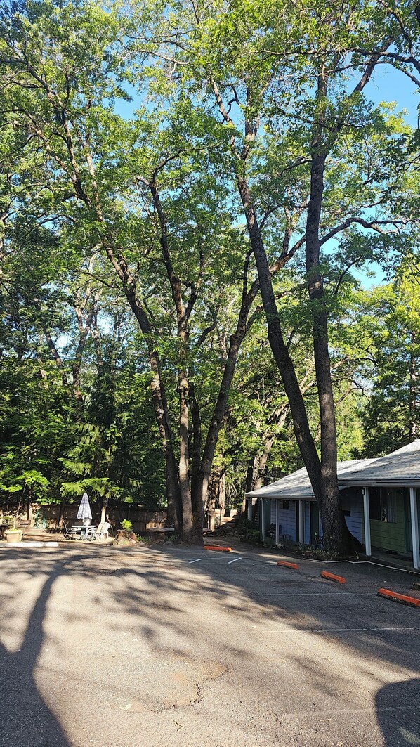 Terrace/patio - Cedar Lodge Motel (Dunsmuir)