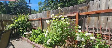 Suíte família, várias camas, no jardim | Terraço/pátio