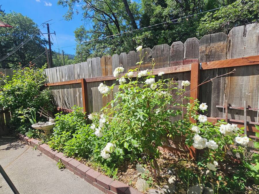 Suite Familiale, plusieurs lits, côté jardin | Terrasse/Patio