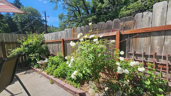 Familie suite, meerdere bedden, tuin | Terras