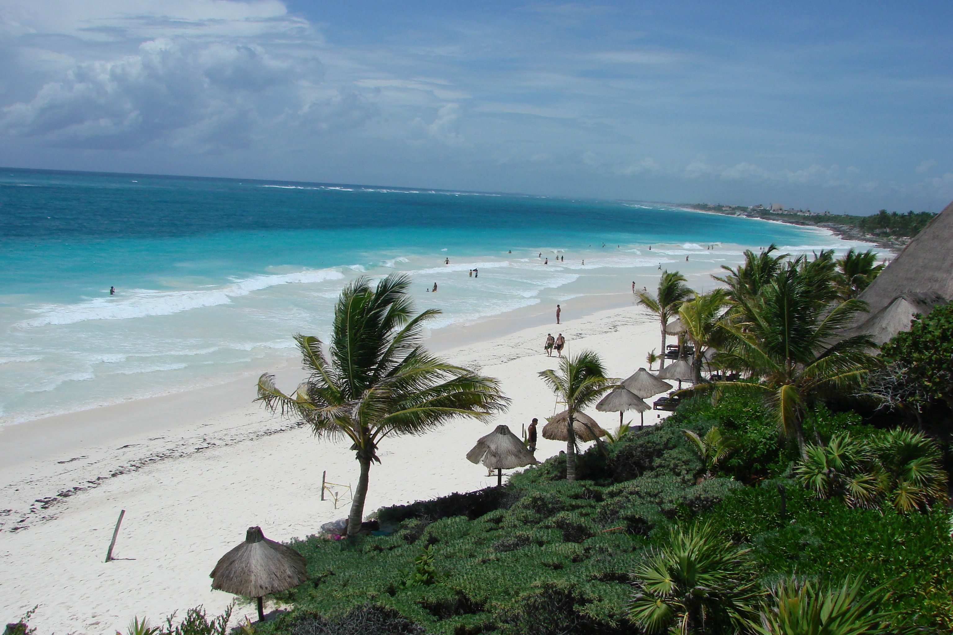 A beach with white sand, clear turquoise water, and palm trees.